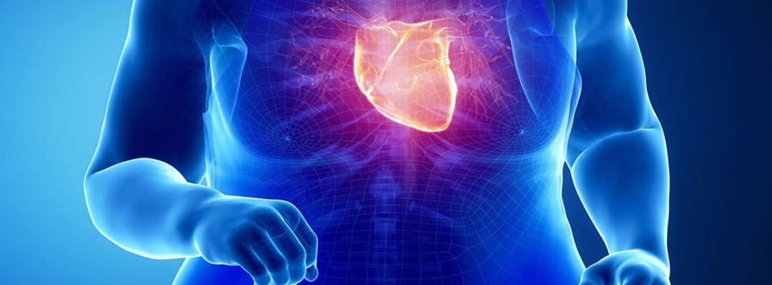 shutterstock_283515614